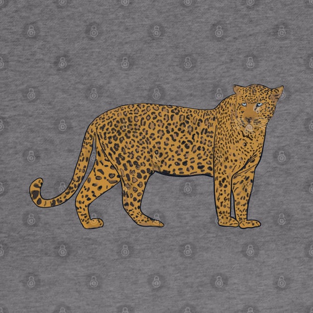 Hand drawn leopard illustration by GULSENGUNEL